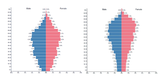 Population Pyramids 2024 vs 2050